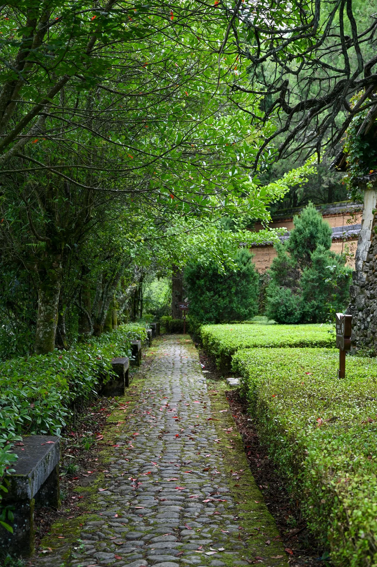 Allée en pavés de pierre
